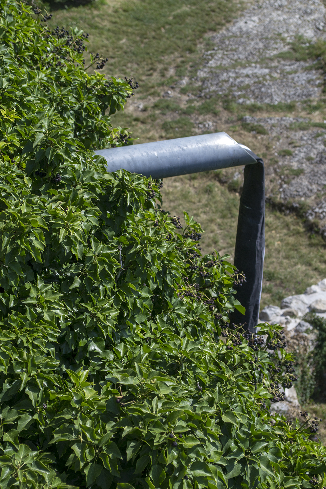 2019 07 YouDoYou With Paul Otis Wiesner, Dorneck, Dornach — Cyril Hübscher And Linus Baumeister — Jeronim Horvat